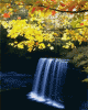 anim176220mobildesign.atw.hu_0380.gif